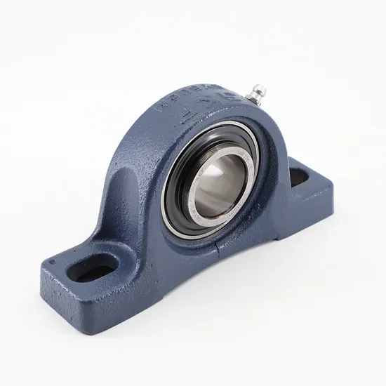 Zyq20 Stainless Steel UCFL205 Double Row Pillow Block Bearing Spherical Roller Type 
