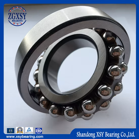 Factory Price Stainless Steel Double Row 1321 Self