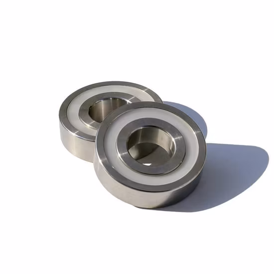 High Temperature Resistant Stainless Steel Ss 6000 6003 6004 6006 6007 6008 6200 6201 6202 6203 6204 6205 Zz 2RS Single Double Row Deep Groove Ball Bearing