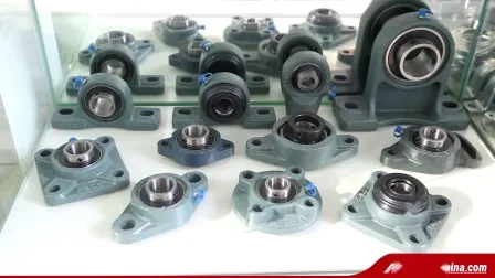 Stainless Steel Pillow Block Bearing with Plastic Housing for Food Machinery 